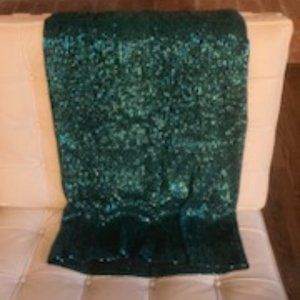 Elegant Green Sequin Skirt purchased at Anthropologie